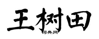 翁闿运王树田楷书个性签名怎么写