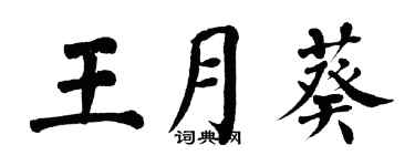 翁闿运王月葵楷书个性签名怎么写
