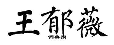 翁闿运王郁薇楷书个性签名怎么写