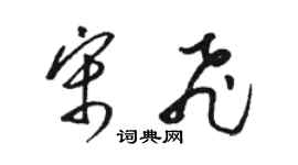 骆恒光宋飞草书个性签名怎么写