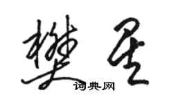 骆恒光樊星草书个性签名怎么写