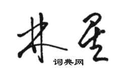 骆恒光林星草书个性签名怎么写