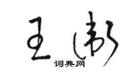骆恒光王卫草书个性签名怎么写