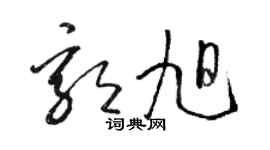 骆恒光郭旭草书个性签名怎么写