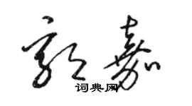 骆恒光郭嘉草书个性签名怎么写