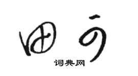骆恒光田可草书个性签名怎么写