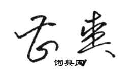骆恒光曹爽草书个性签名怎么写