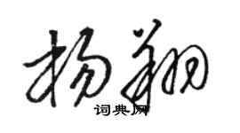 骆恒光杨翔草书个性签名怎么写