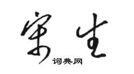 骆恒光宋生草书个性签名怎么写