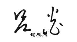 骆恒光吕炎草书个性签名怎么写