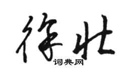 骆恒光徐壮草书个性签名怎么写