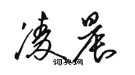 骆恒光凌晨草书个性签名怎么写