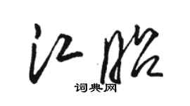 骆恒光江昭草书个性签名怎么写