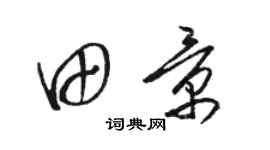 骆恒光田景草书个性签名怎么写