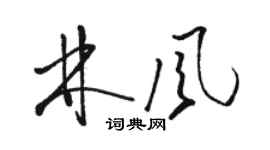 骆恒光林风草书个性签名怎么写