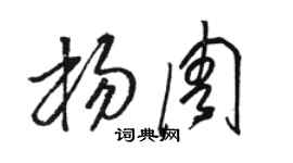 骆恒光杨周草书个性签名怎么写