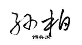 骆恒光孙柏草书个性签名怎么写