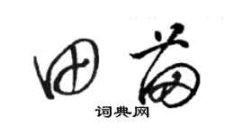 骆恒光田苗草书个性签名怎么写