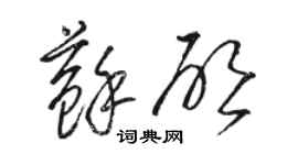 骆恒光苏启草书个性签名怎么写
