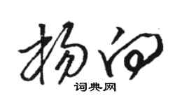 骆恒光杨向草书个性签名怎么写