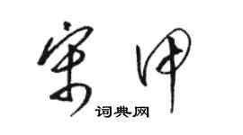 骆恒光宋甲草书个性签名怎么写
