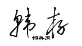 骆恒光韩存草书个性签名怎么写