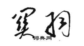 骆恒光关羽草书个性签名怎么写