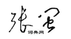 骆恒光张闽草书个性签名怎么写