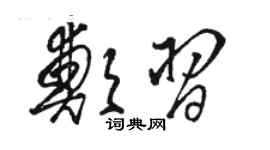 骆恒光郑习草书个性签名怎么写
