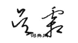 骆恒光吴霜草书个性签名怎么写