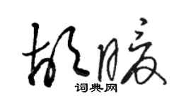 骆恒光胡暖草书个性签名怎么写