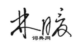 骆恒光林暖草书个性签名怎么写