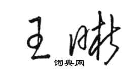 骆恒光王晰草书个性签名怎么写
