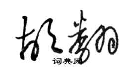 骆恒光胡翻草书个性签名怎么写