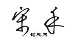骆恒光宋禾草书个性签名怎么写
