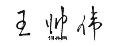 骆恒光王帅伟草书个性签名怎么写