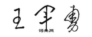 骆恒光王军勇草书个性签名怎么写