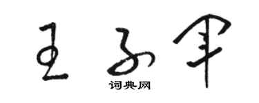 骆恒光王子军草书个性签名怎么写