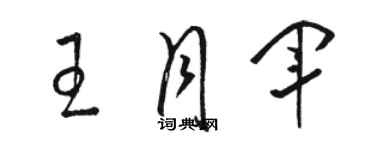 骆恒光王月军草书个性签名怎么写