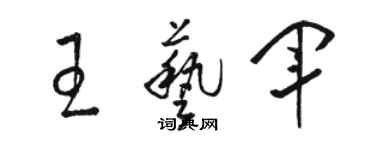 骆恒光王艺军草书个性签名怎么写