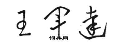 骆恒光王军达草书个性签名怎么写