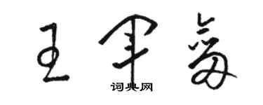 骆恒光王军剑草书个性签名怎么写