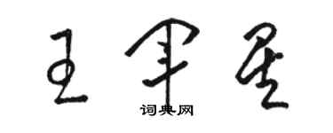 骆恒光王军星草书个性签名怎么写