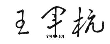 骆恒光王军杭草书个性签名怎么写