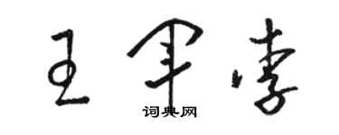 骆恒光王军李草书个性签名怎么写