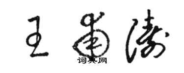 骆恒光王甫涛草书个性签名怎么写