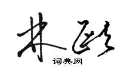 骆恒光林欧草书个性签名怎么写