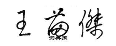 骆恒光王苗杰草书个性签名怎么写