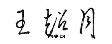 骆恒光王超月草书个性签名怎么写