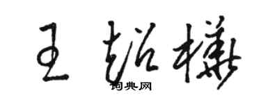 骆恒光王超桦草书个性签名怎么写